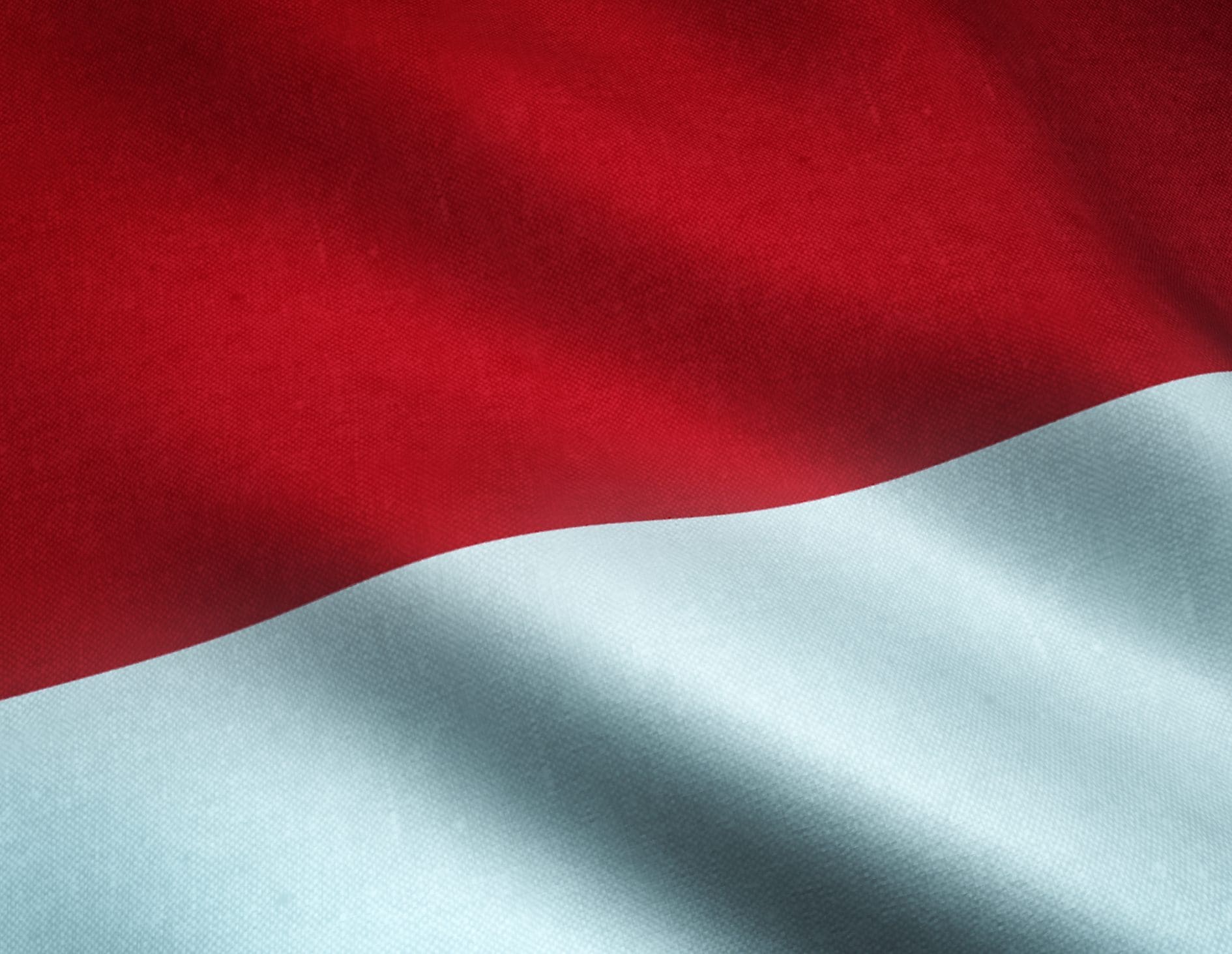 Closeup shot of the waving flag of Monaco with interesting textures